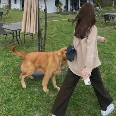 婚姻情况很复杂