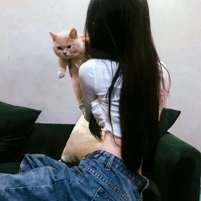 星际精灵